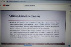 12-11-20-Minorías-étnicas-y-luchas-sociales-en-Colombia-2
